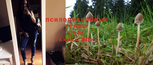 круглые Карталы