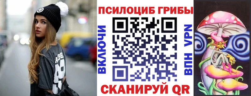 Купить  Урюпинск  Псилоцибиновые грибы Psilocybine cubensis 