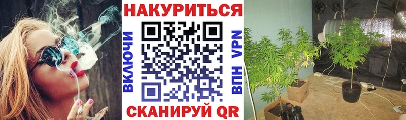 Купить  Урюпинск  Бошки марихуана LSD WEED 